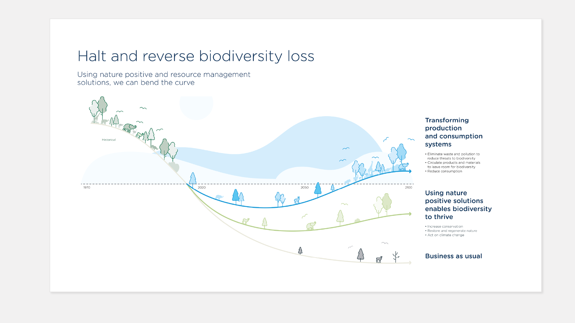 Ramboll Infographic